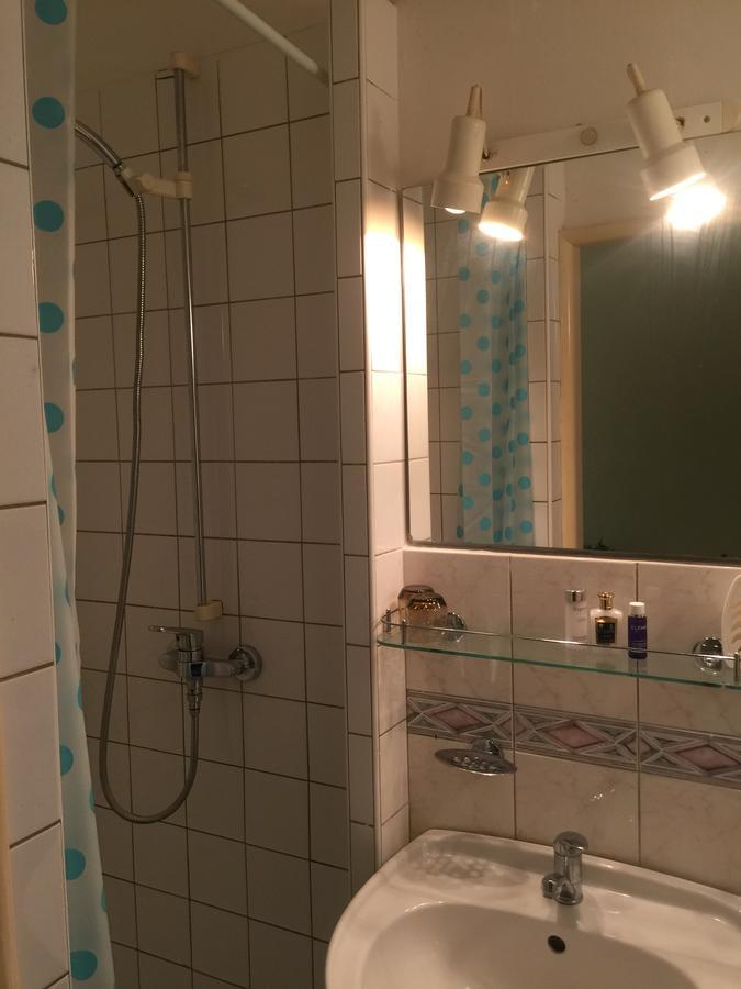 Hotel Dvorak Chrast Dış mekan fotoğraf